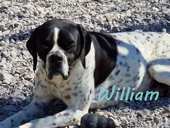 William