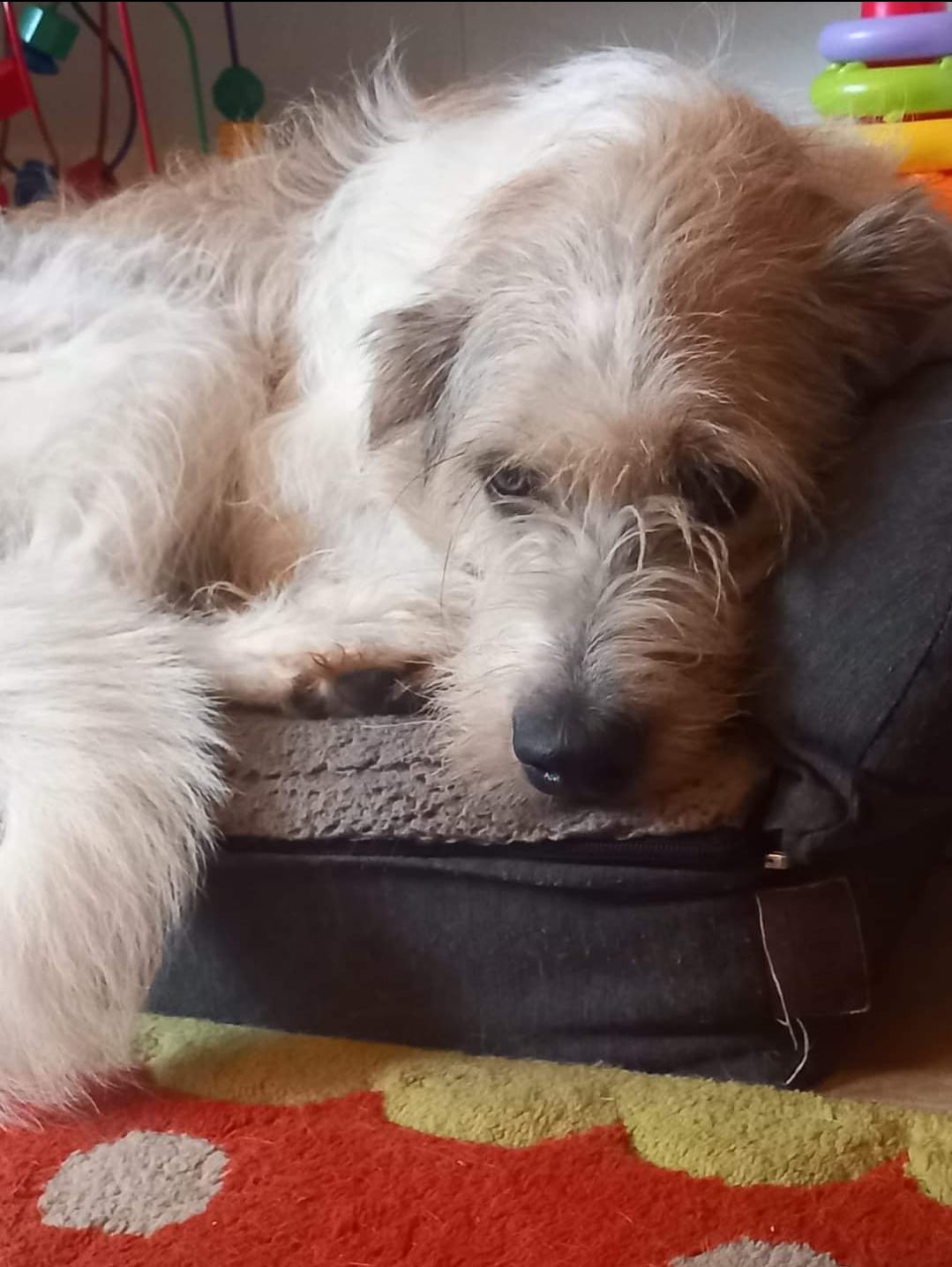 Kuni ❤️