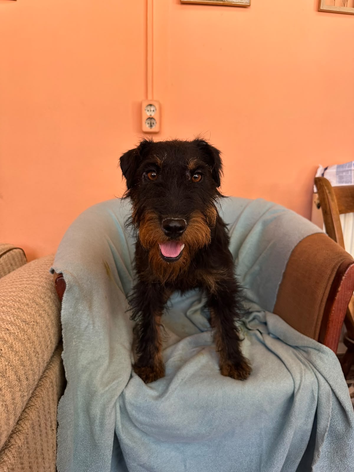 Otis