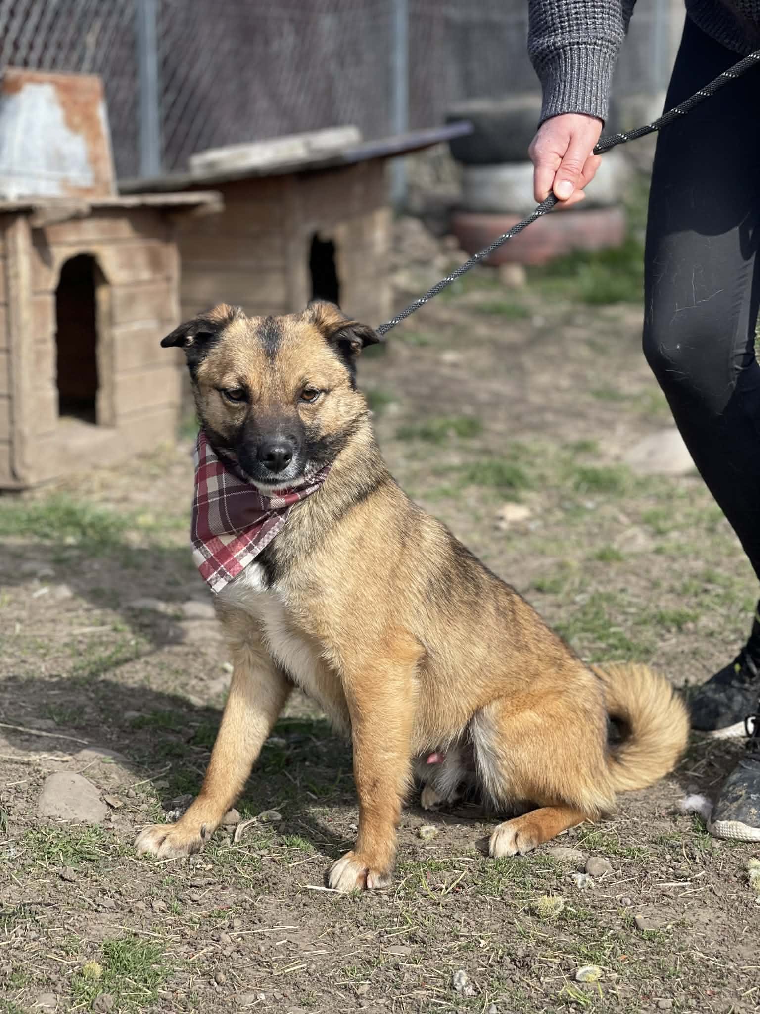 Emmanuel 🐾🐕
