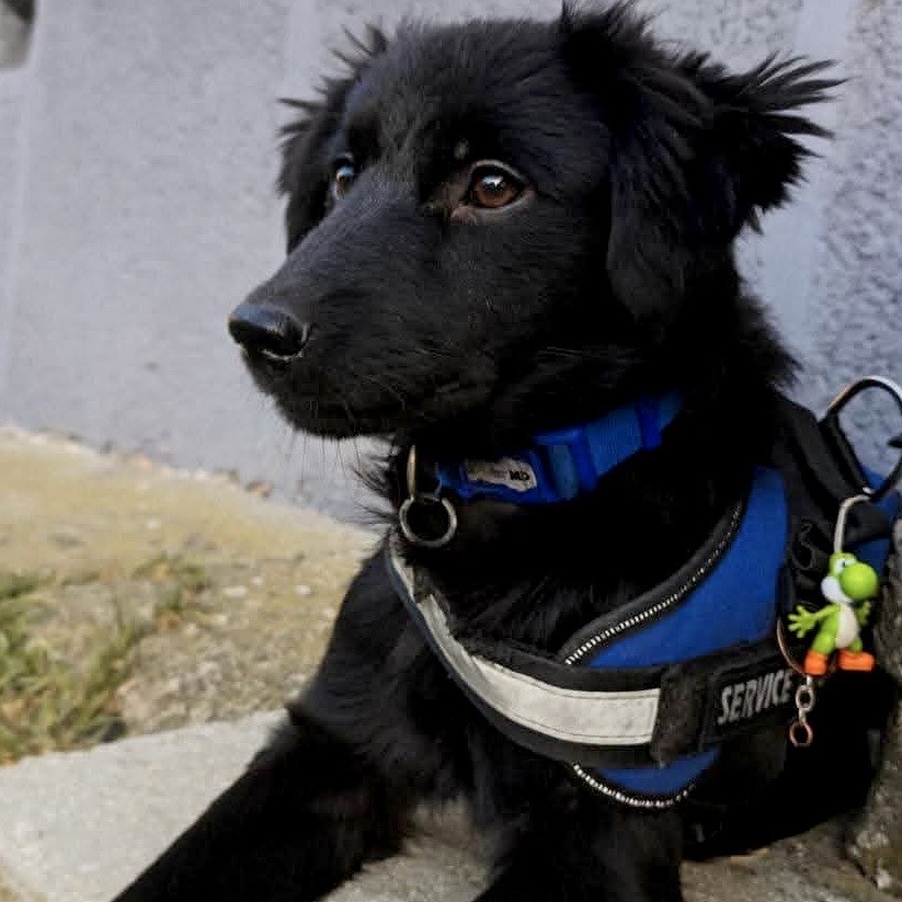 Vader