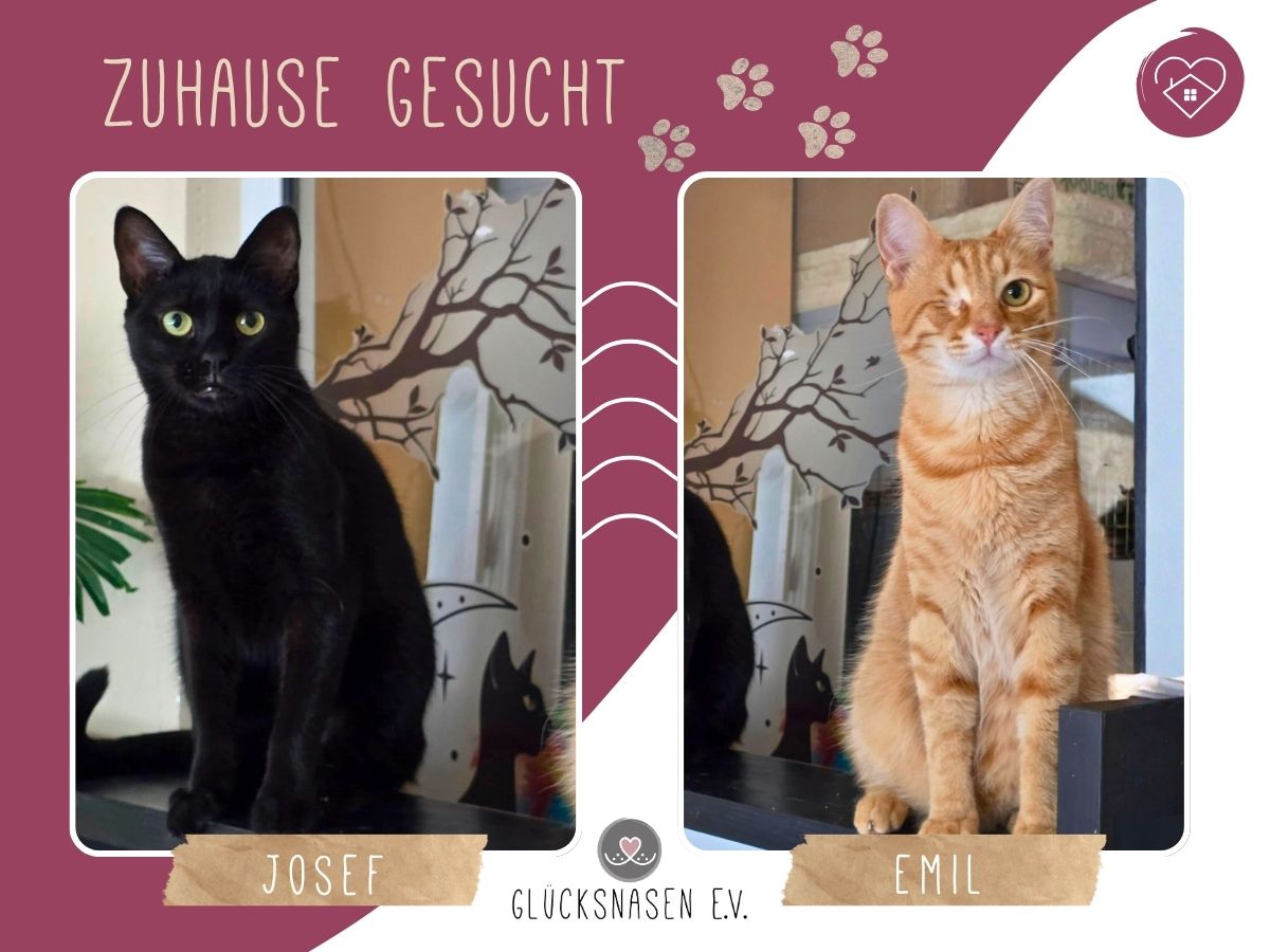 Josef und Emil suchen Dich