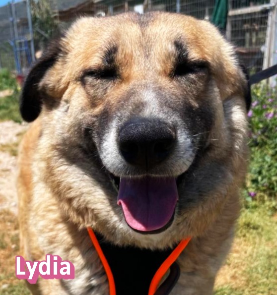 Lydia