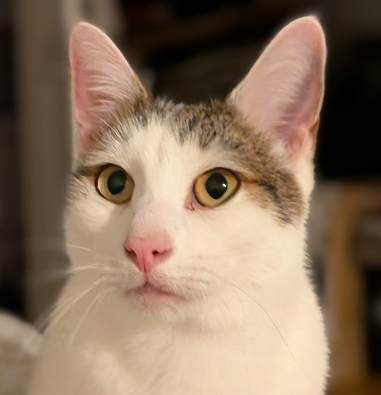 Egon