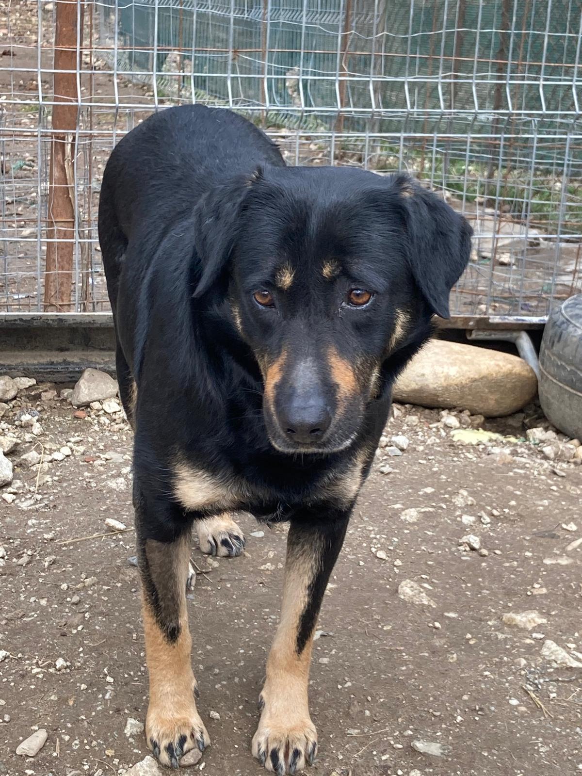 🆘Lana –eiliger NOTFALL🆘