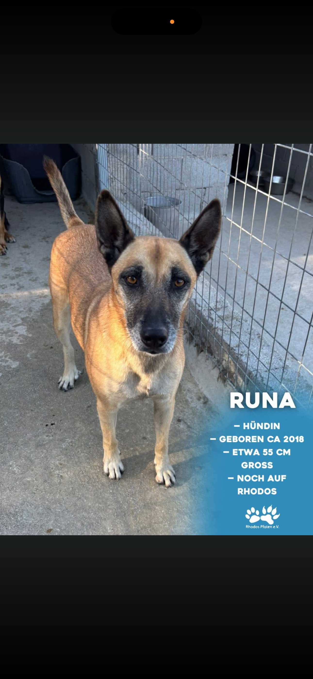 Runa