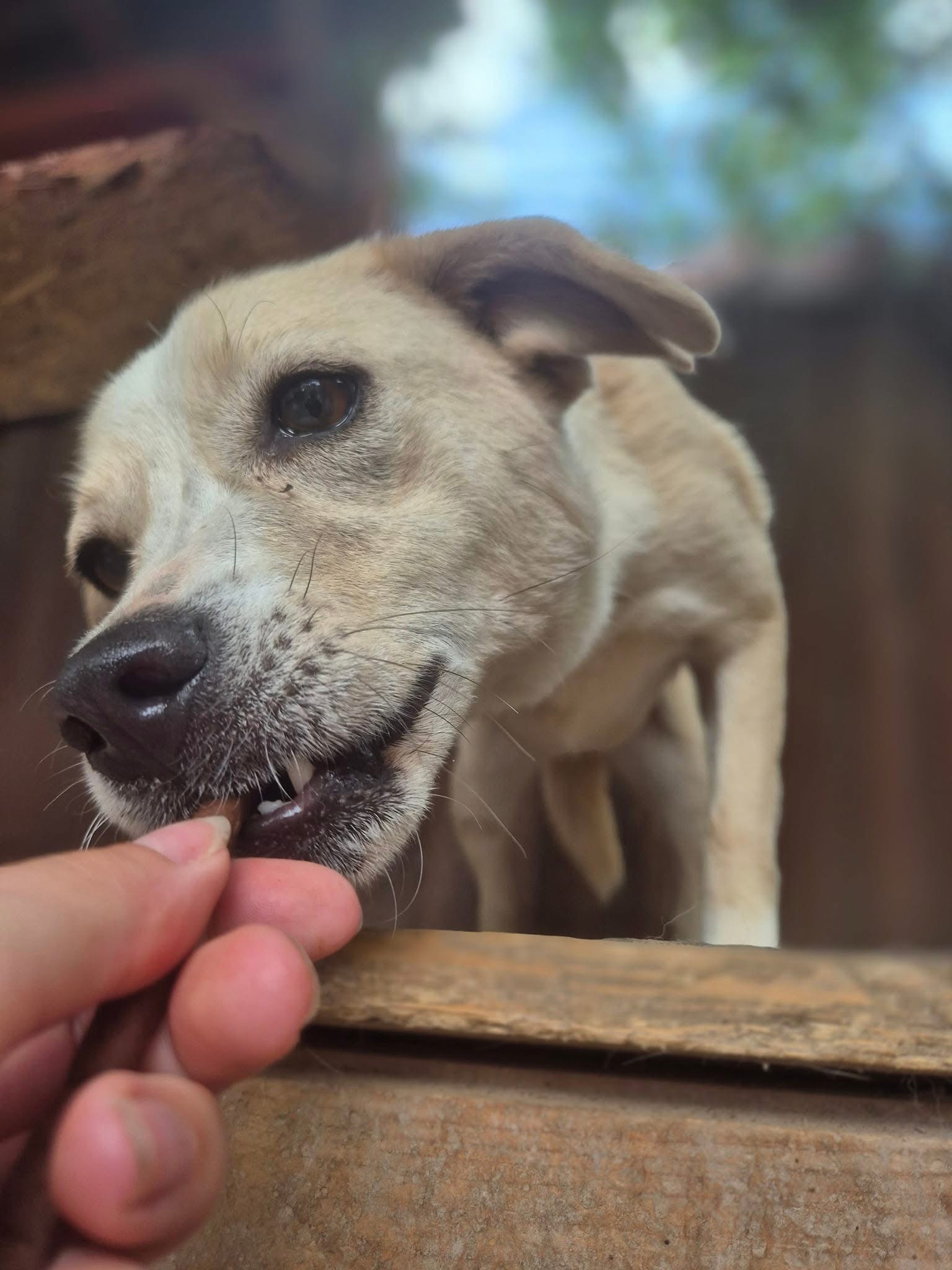 Jördis 🐾