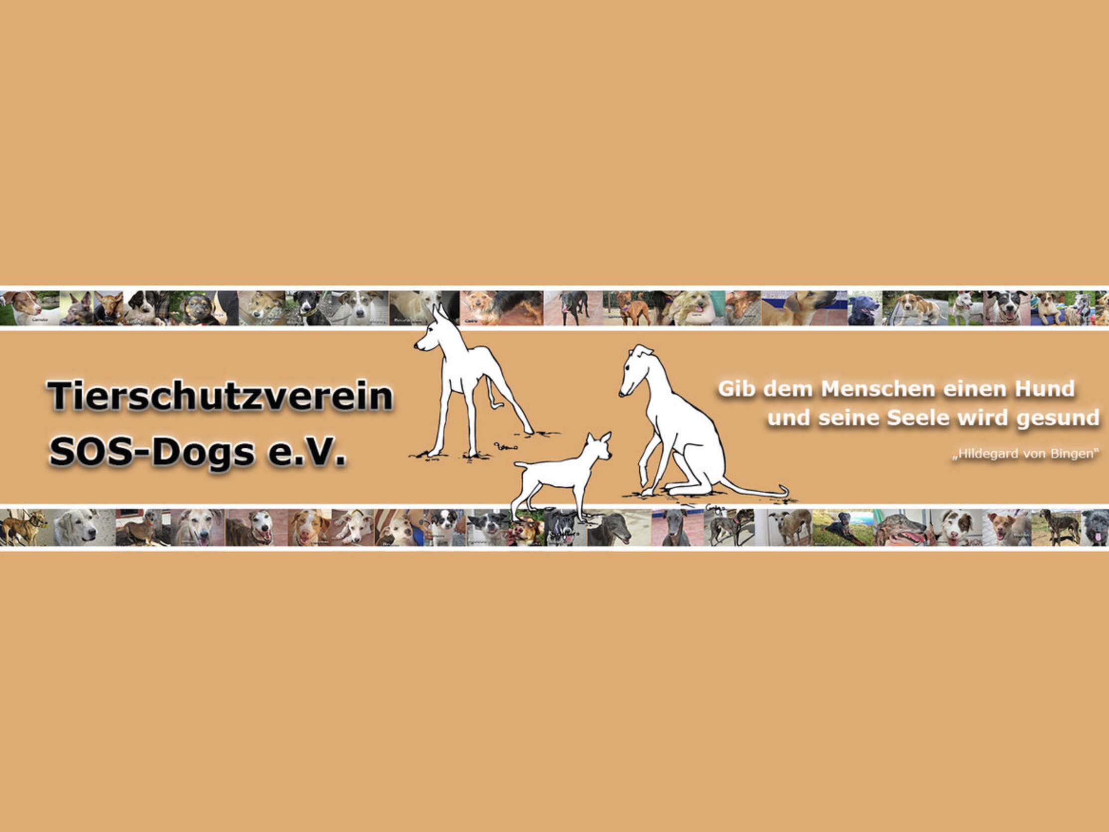 Tierschutzverein SOS-Dogs e.V.