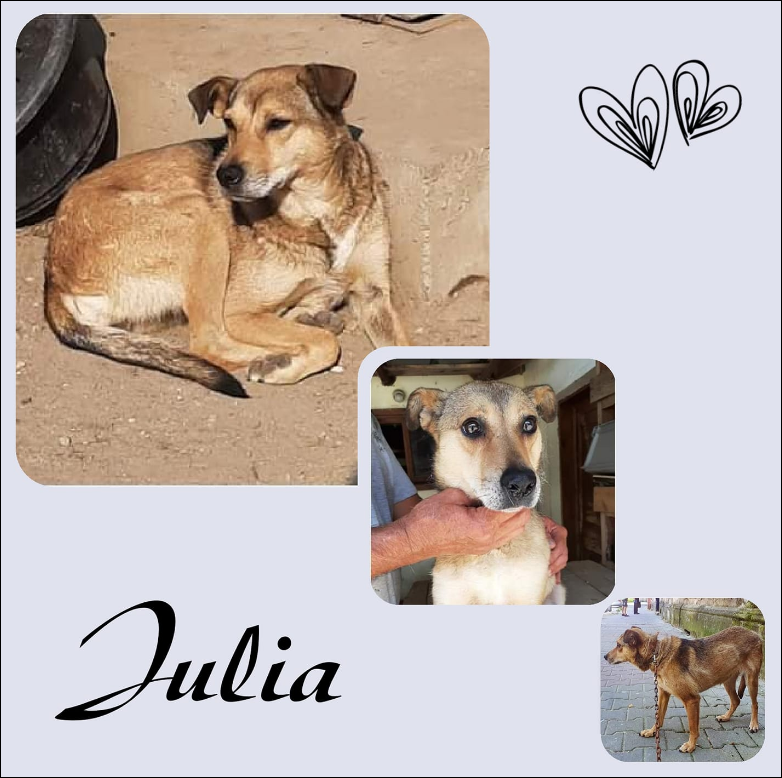 Julia