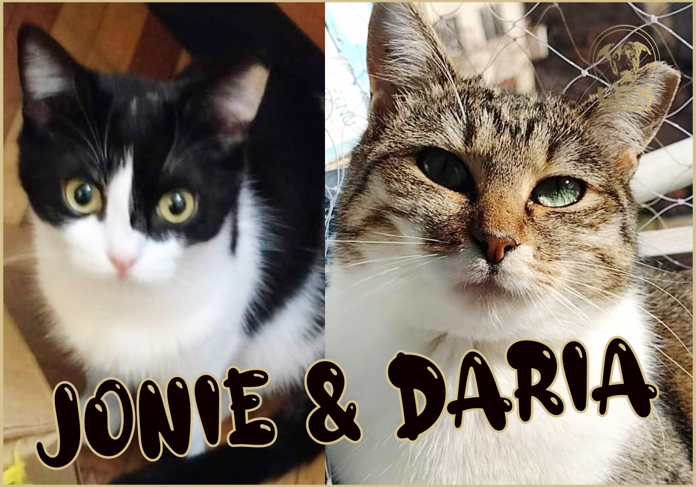 DARIA & JONIE