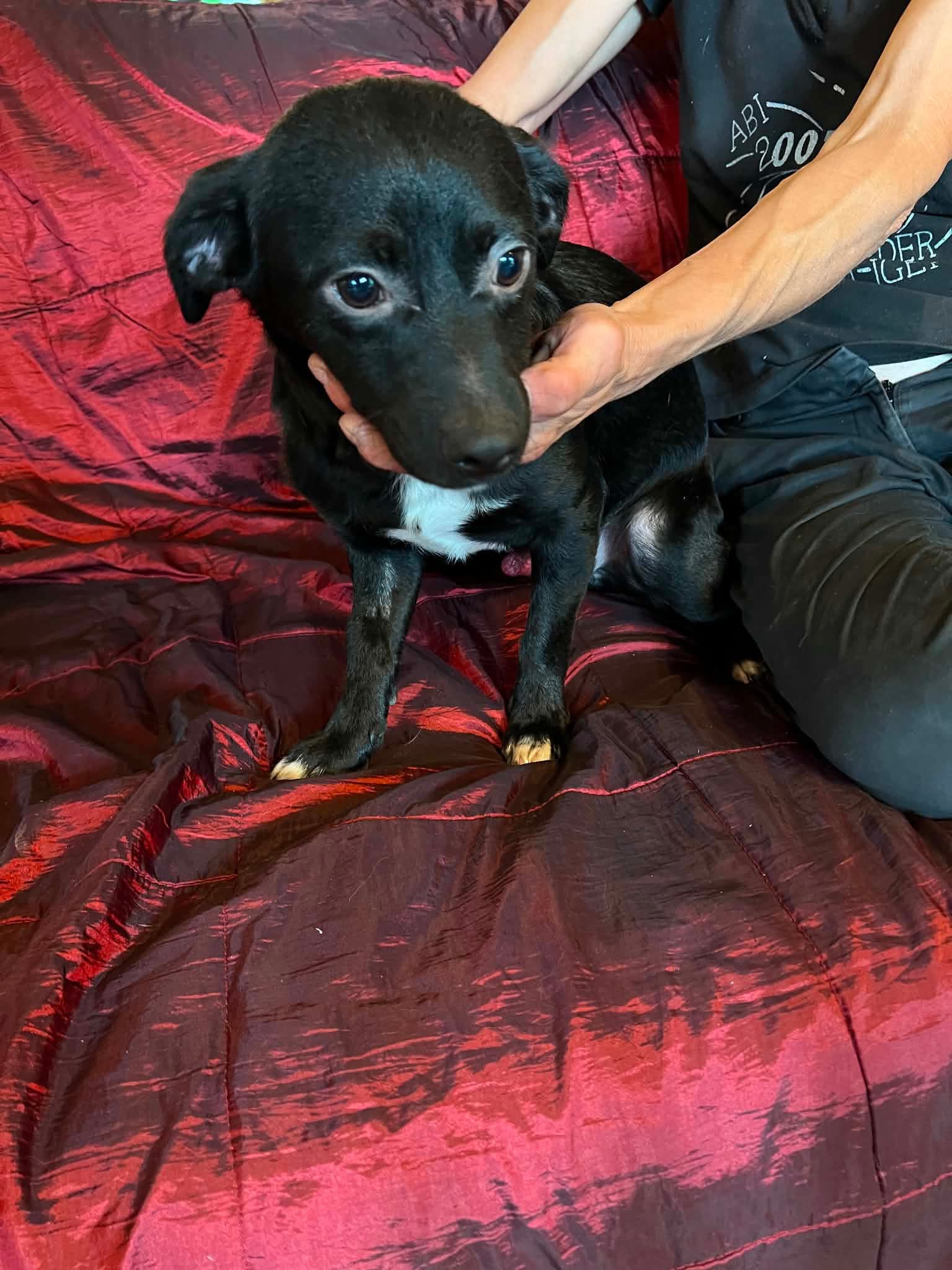 Max