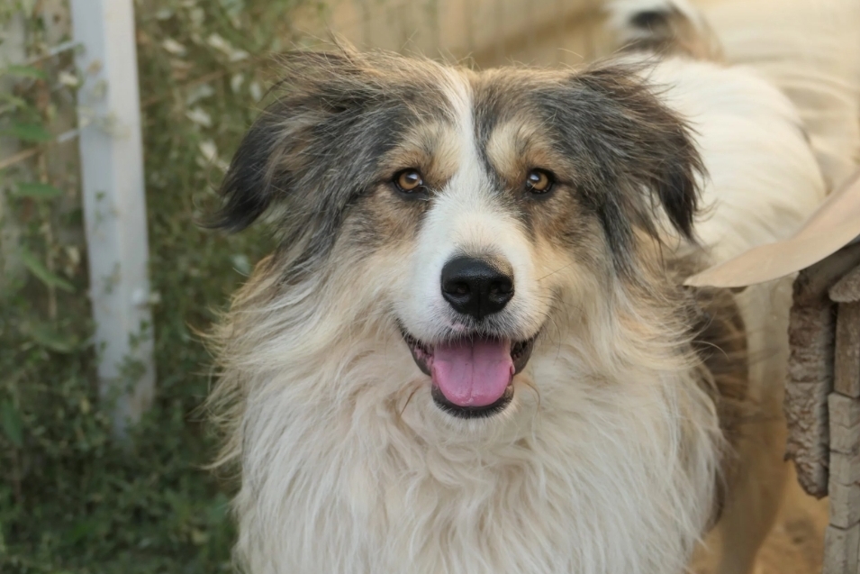 zauberhafte LUCY