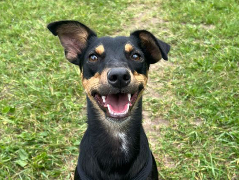 ANGELITA (COCO)