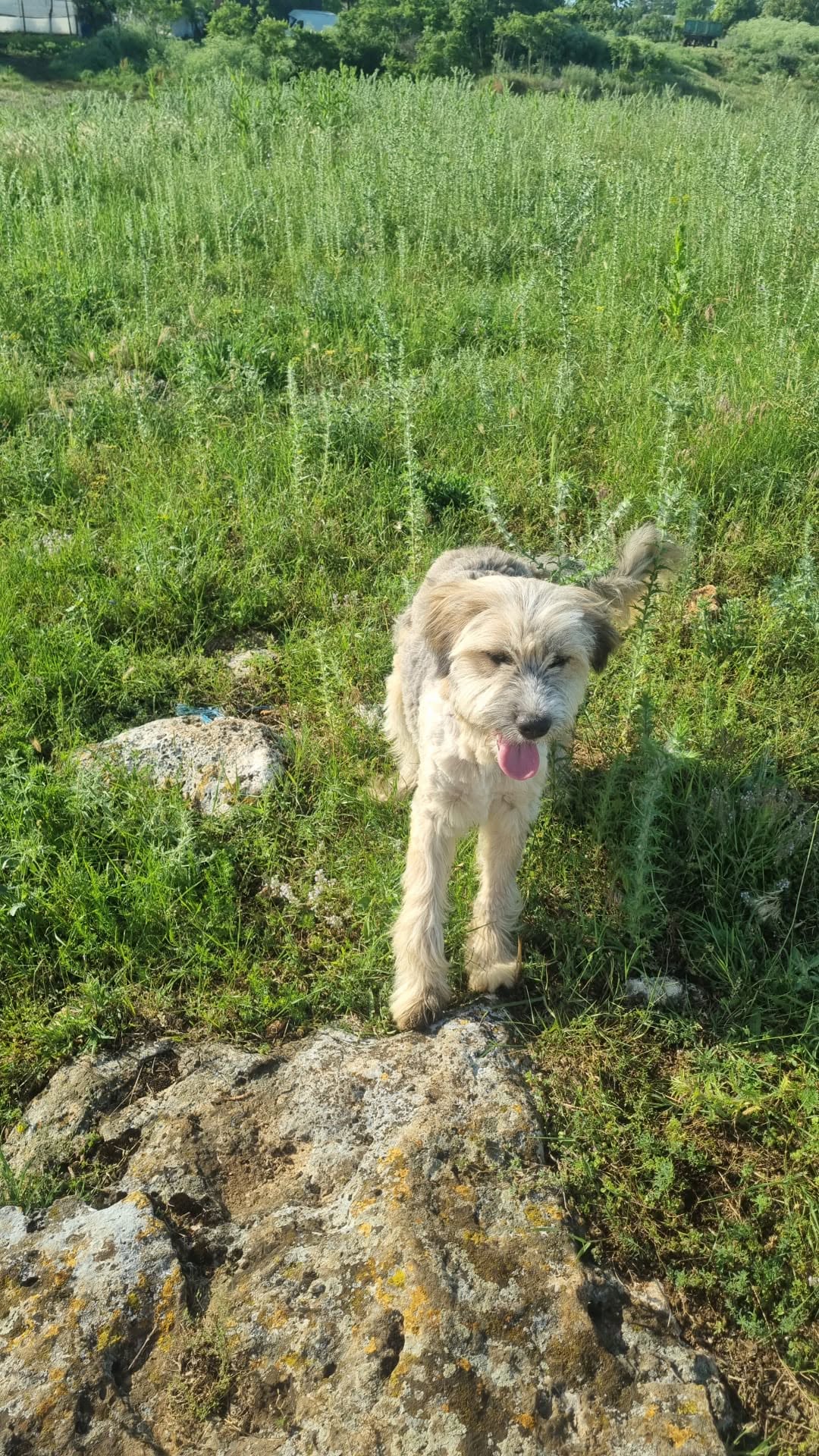 Leif🐾will ankommen