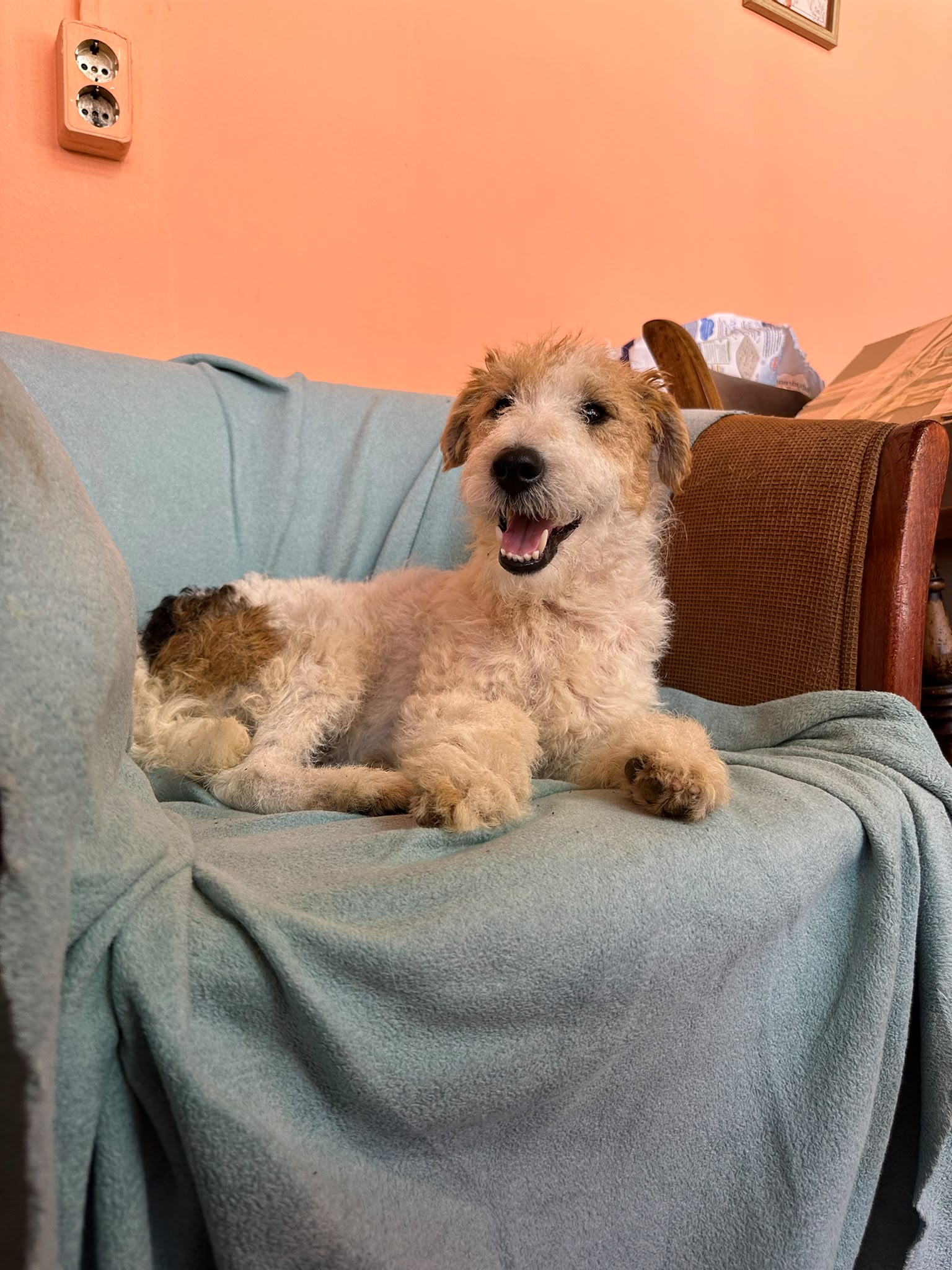 Pete