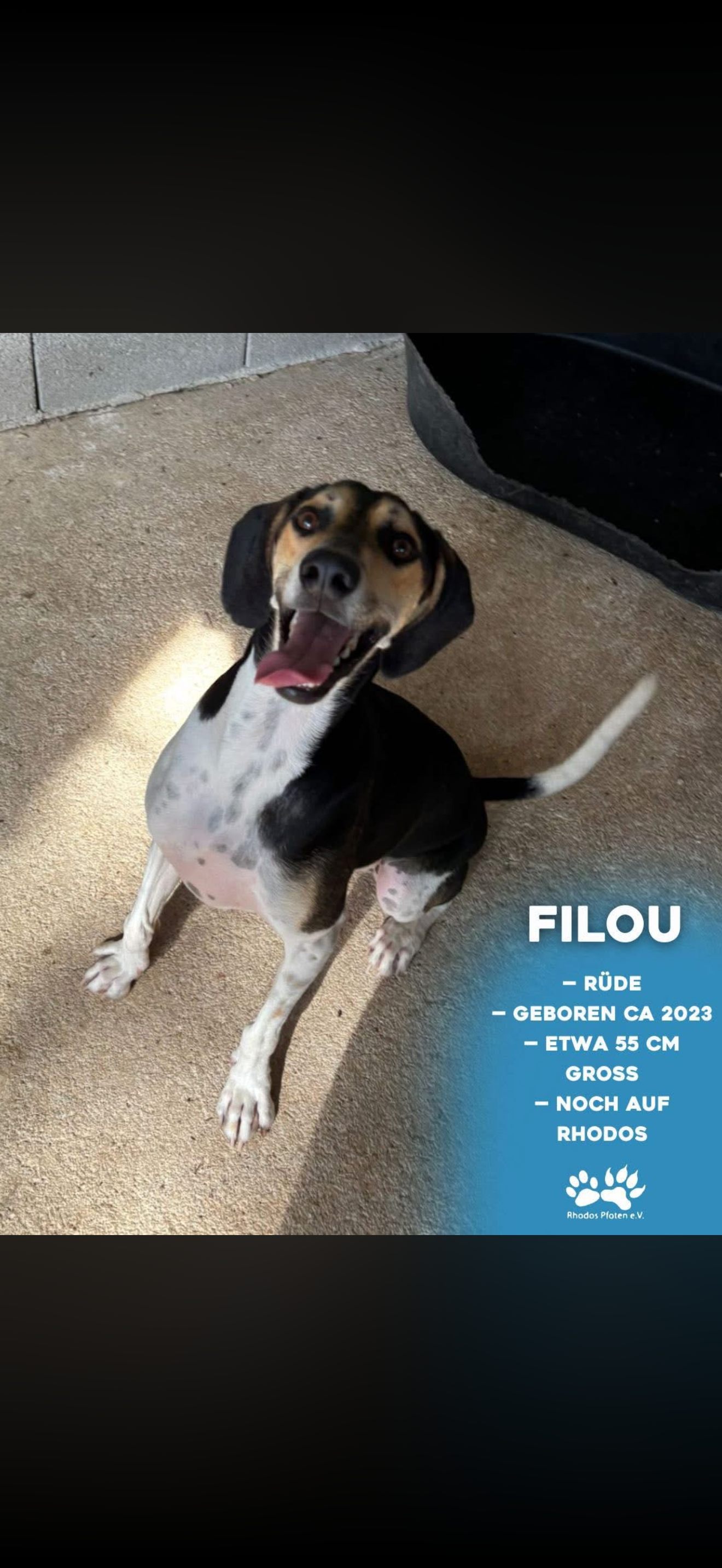 Filou