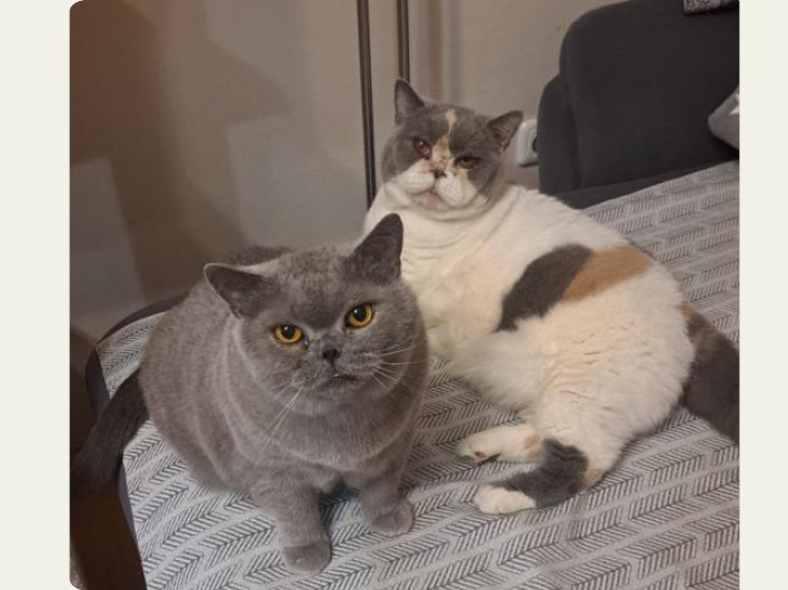 Mady und Frida