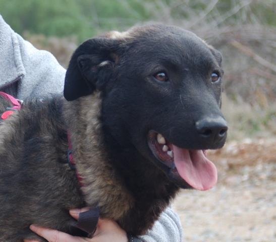 Carlos