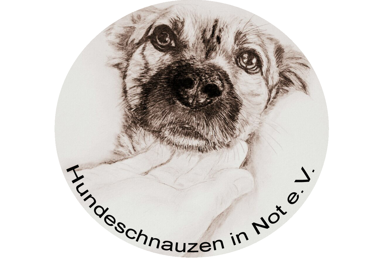 Hundeschnauzen in Not e.V.