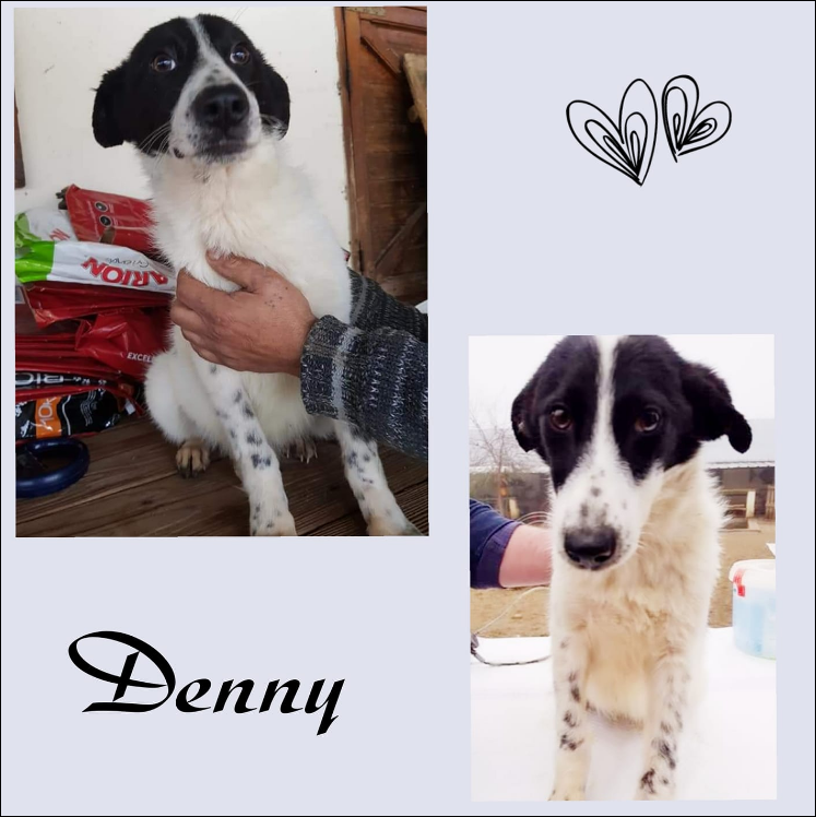 Denny