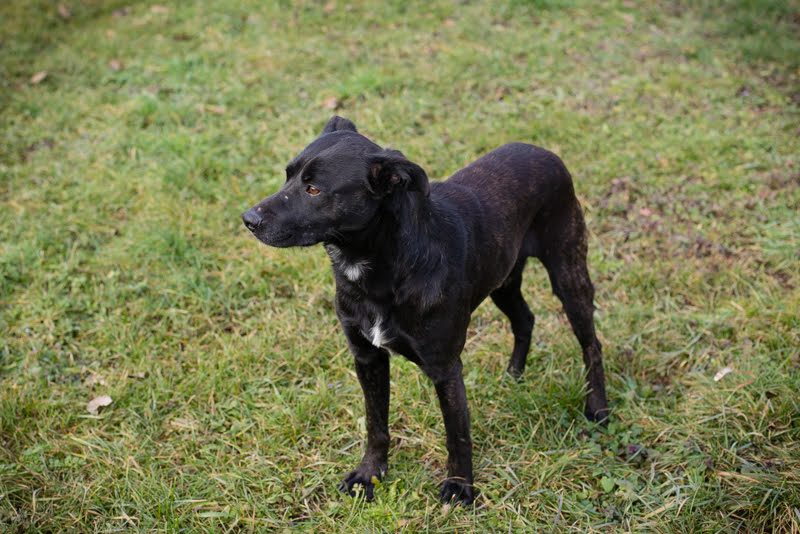 Fritzi
