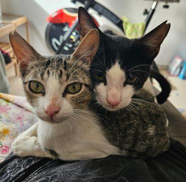Brian und Maya