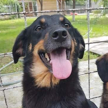 CORA