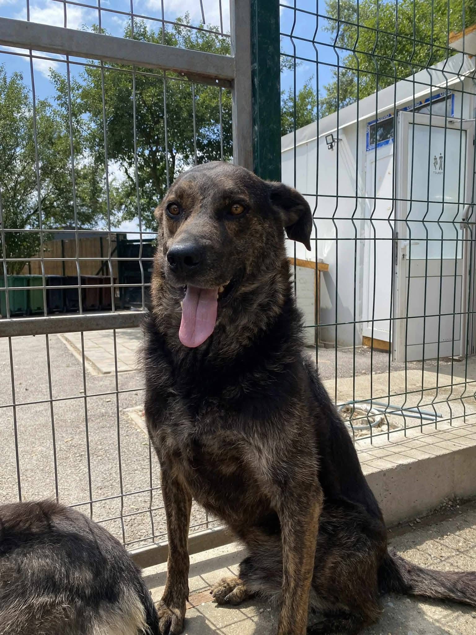 Fabio 🐾🐕