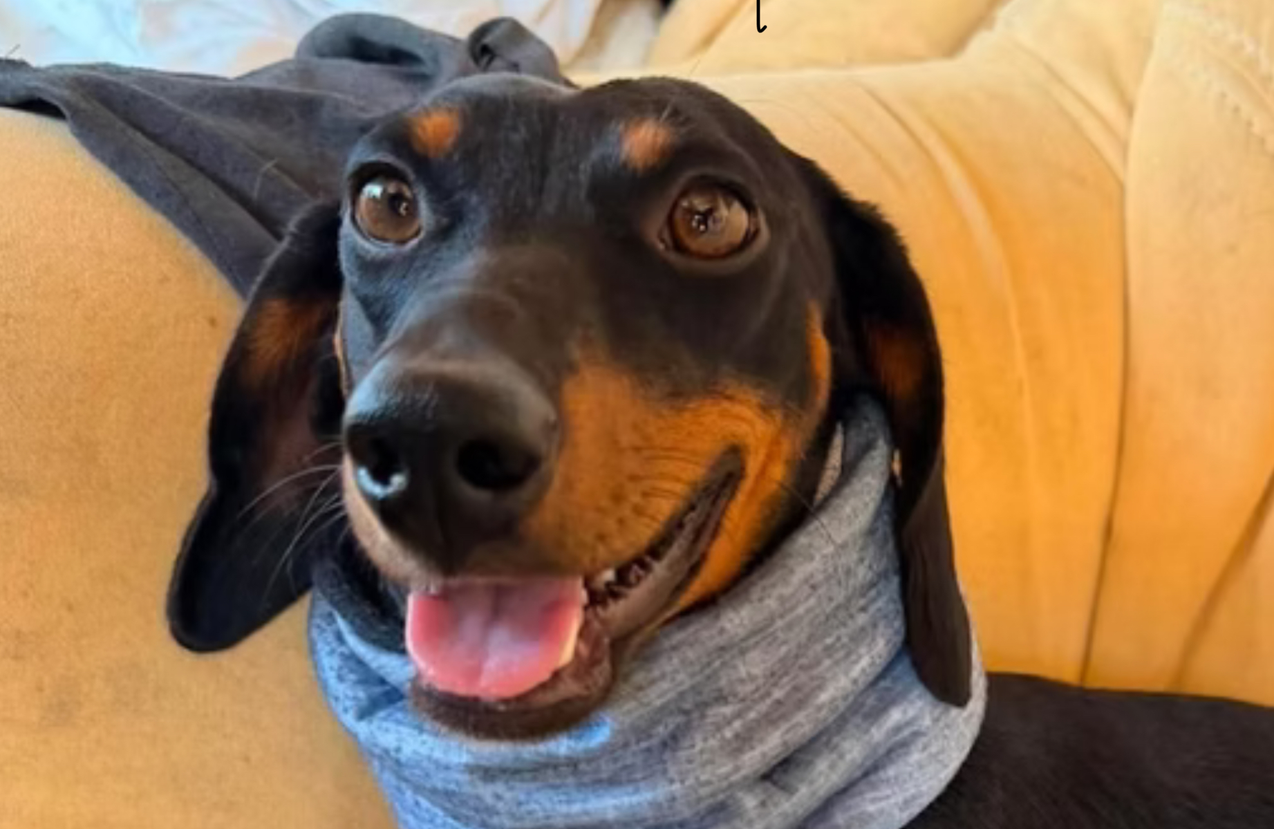 Otto