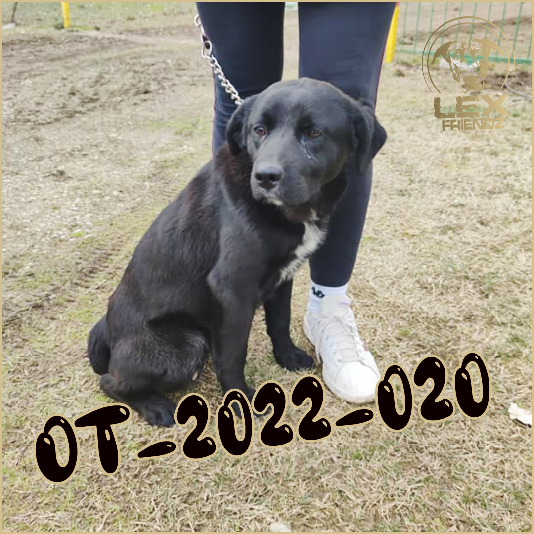 OT-2022-020