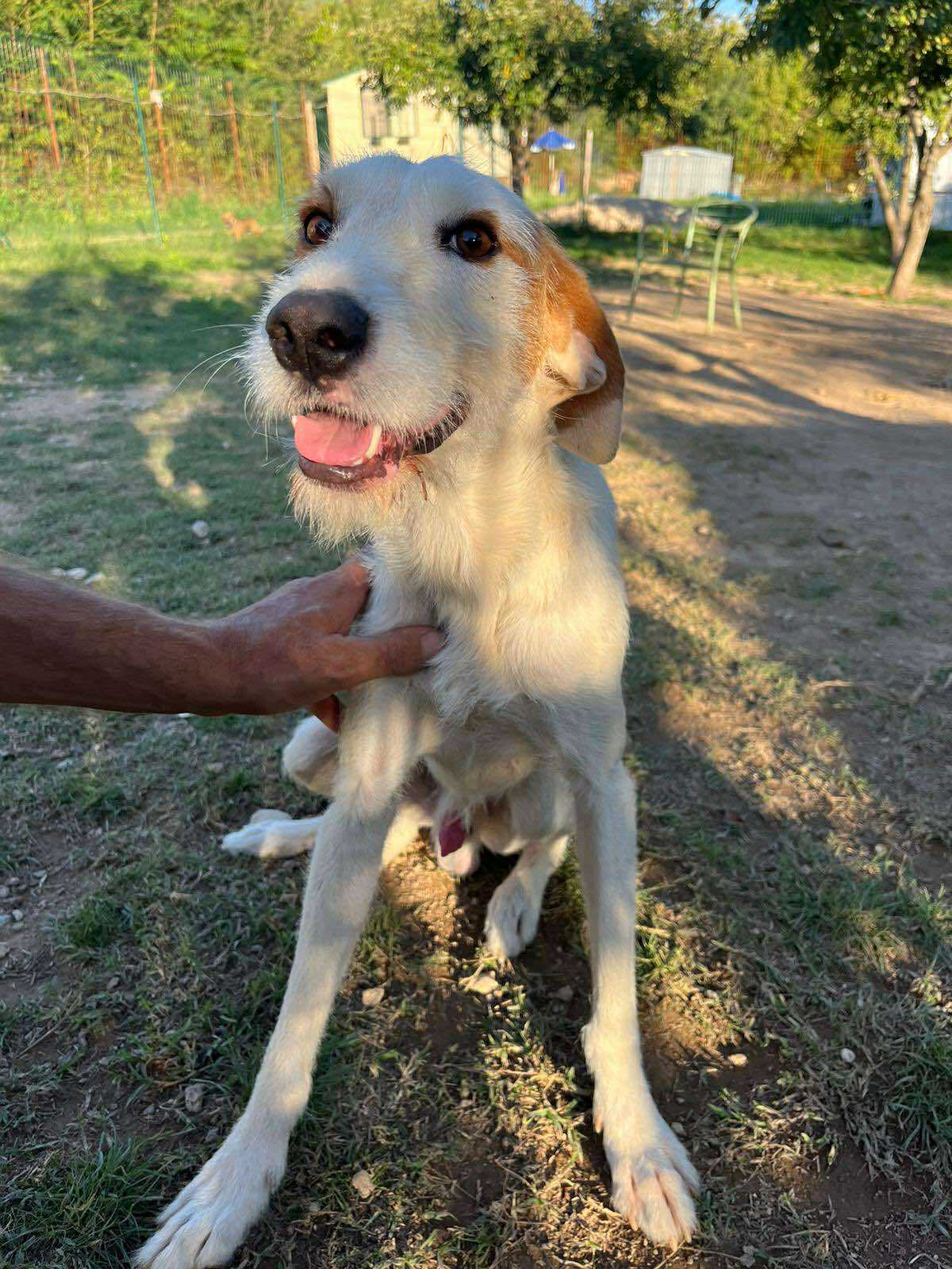 Muki