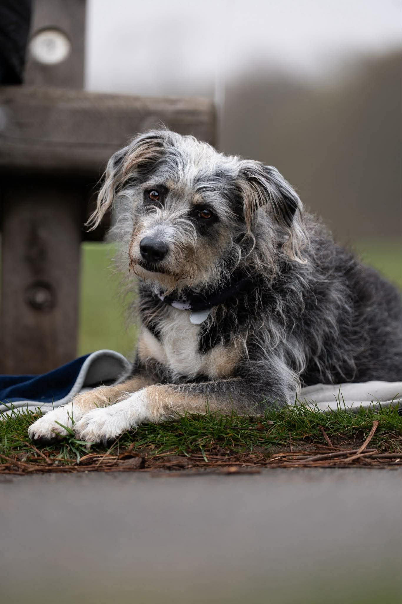 Murphy