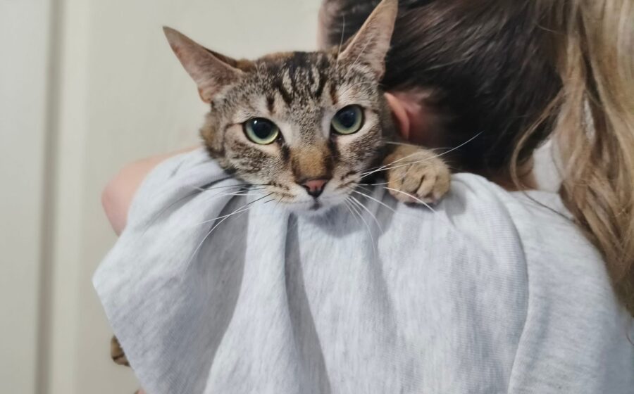 Luni