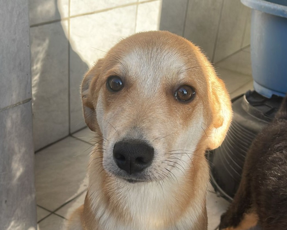Luis💕sucht ein schönes Zuhause