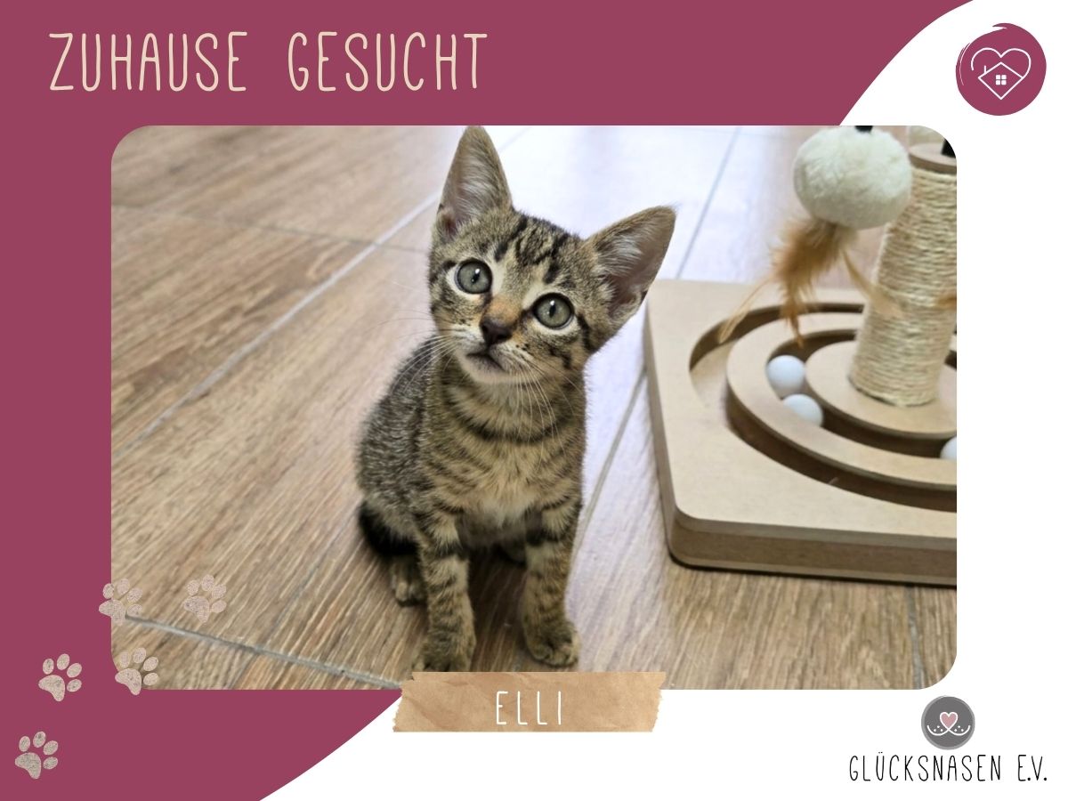 Elli ist bereit für Dich
