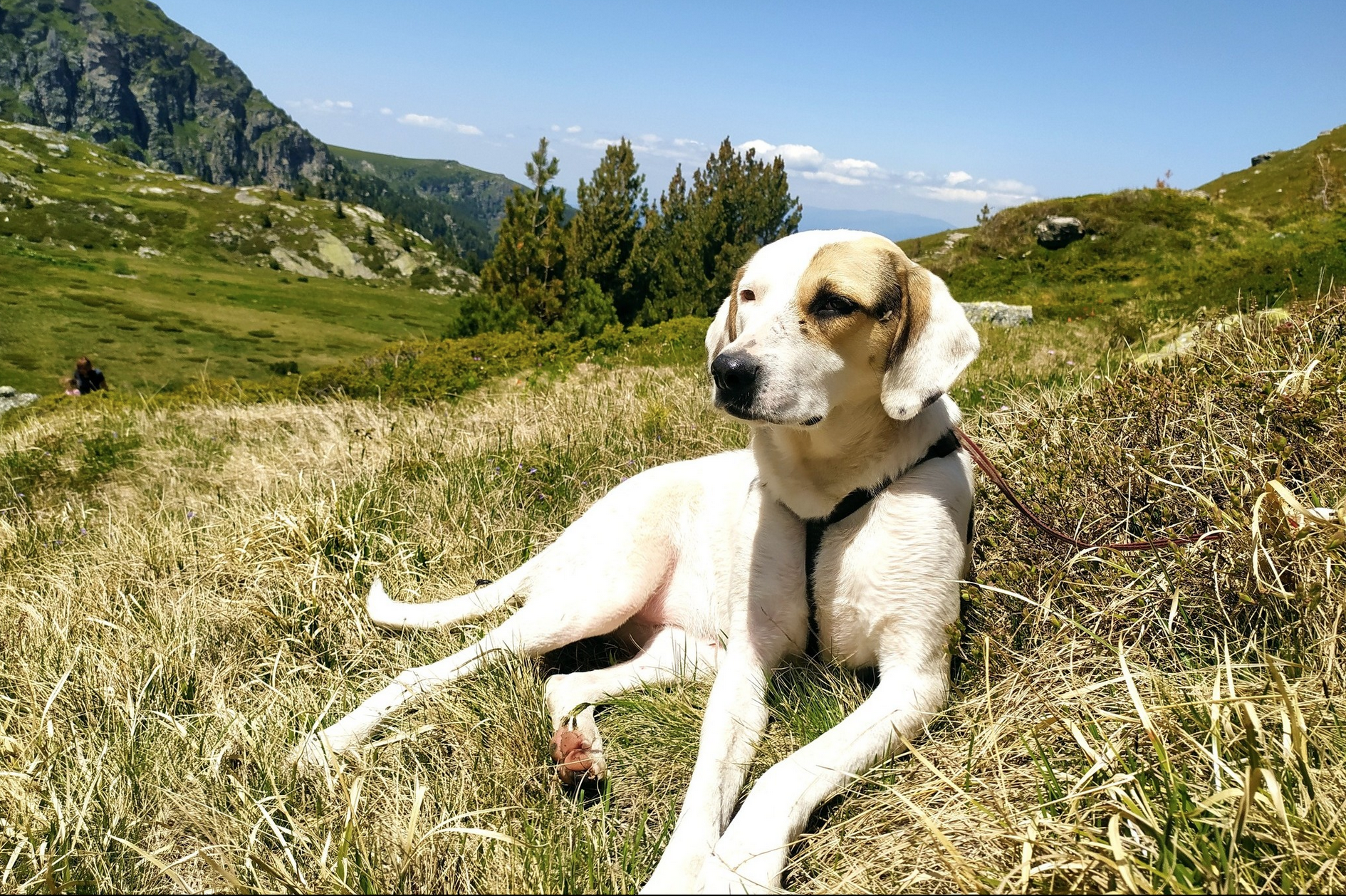 Eskarina