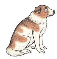 Kontaktbild von Bettina Molzahn