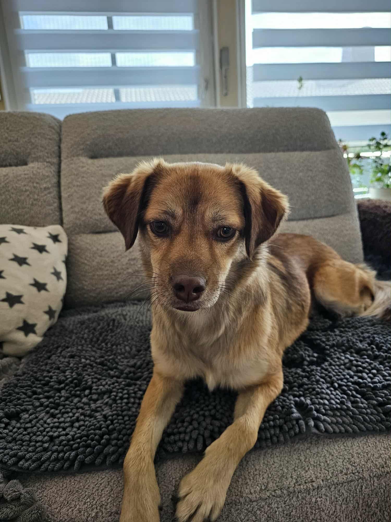 Maja ❤️ - sucht aus 65556