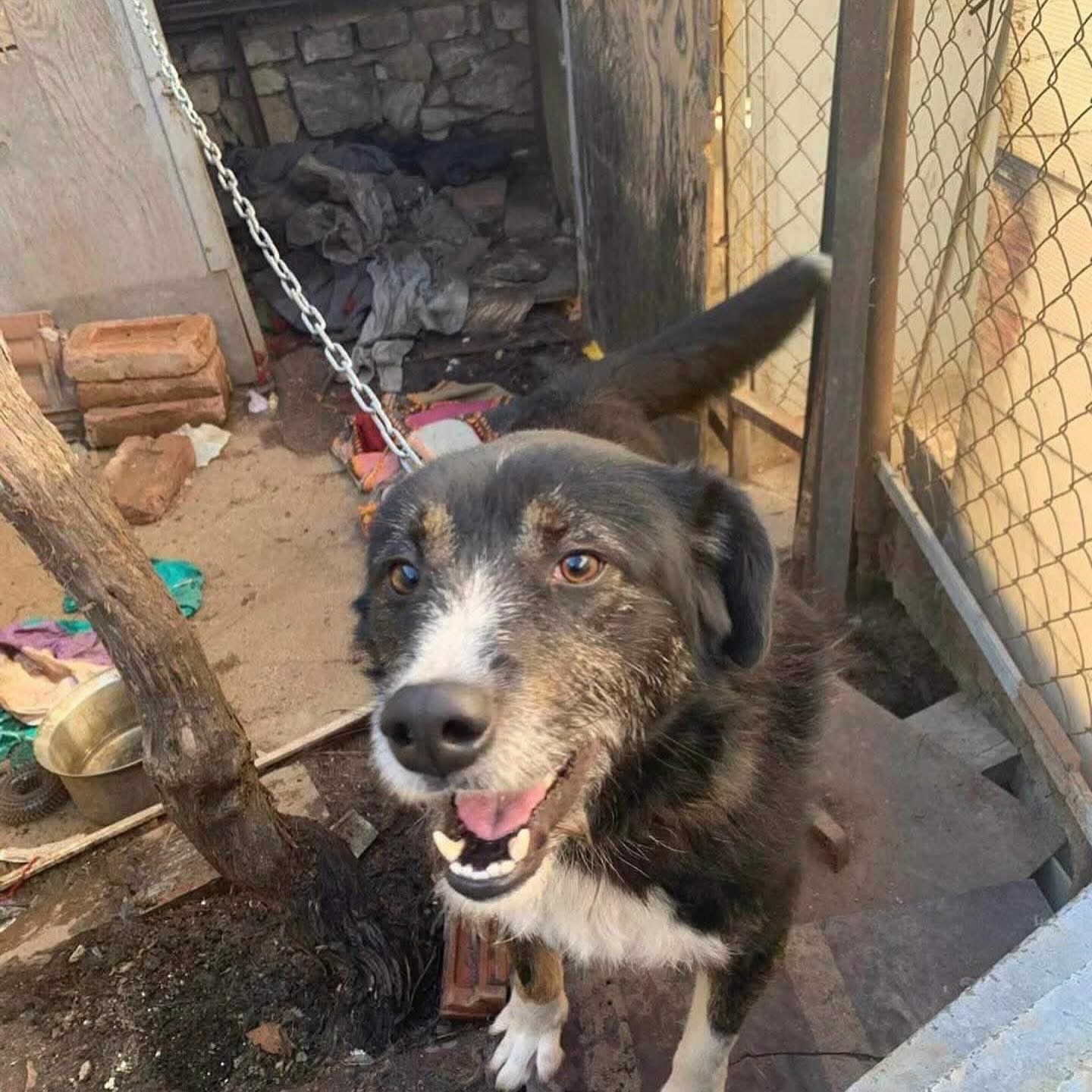 Max