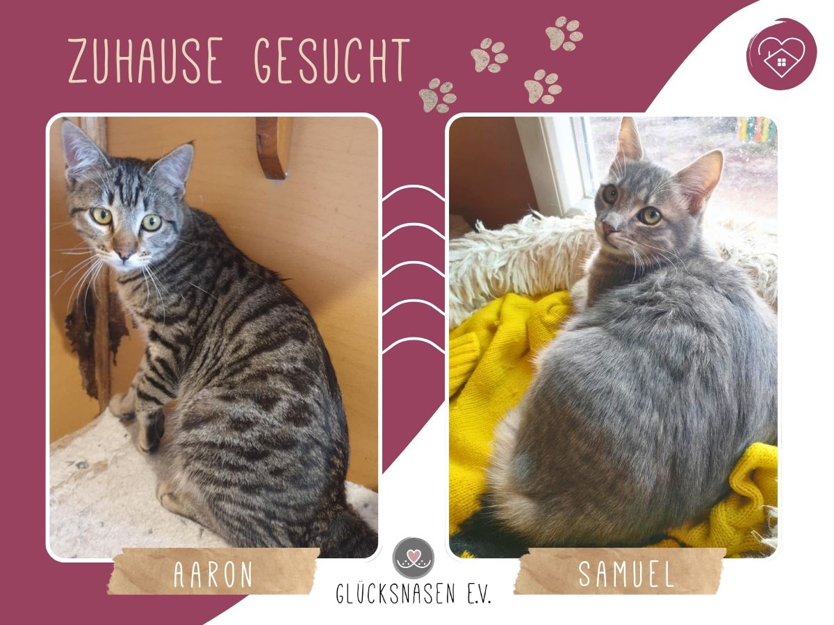 Aaron und Samuel warten