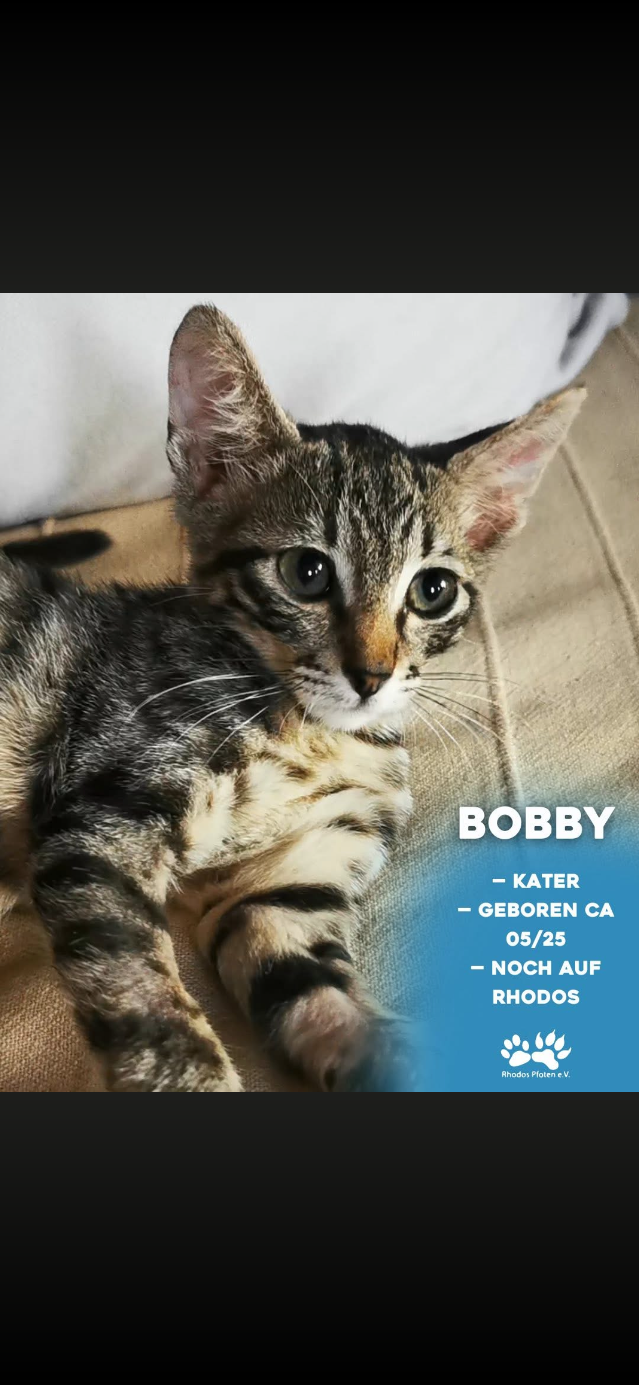 Bobby