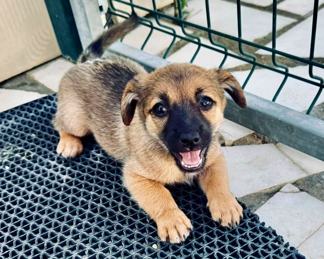 Belina💕verspieltes Mädchen