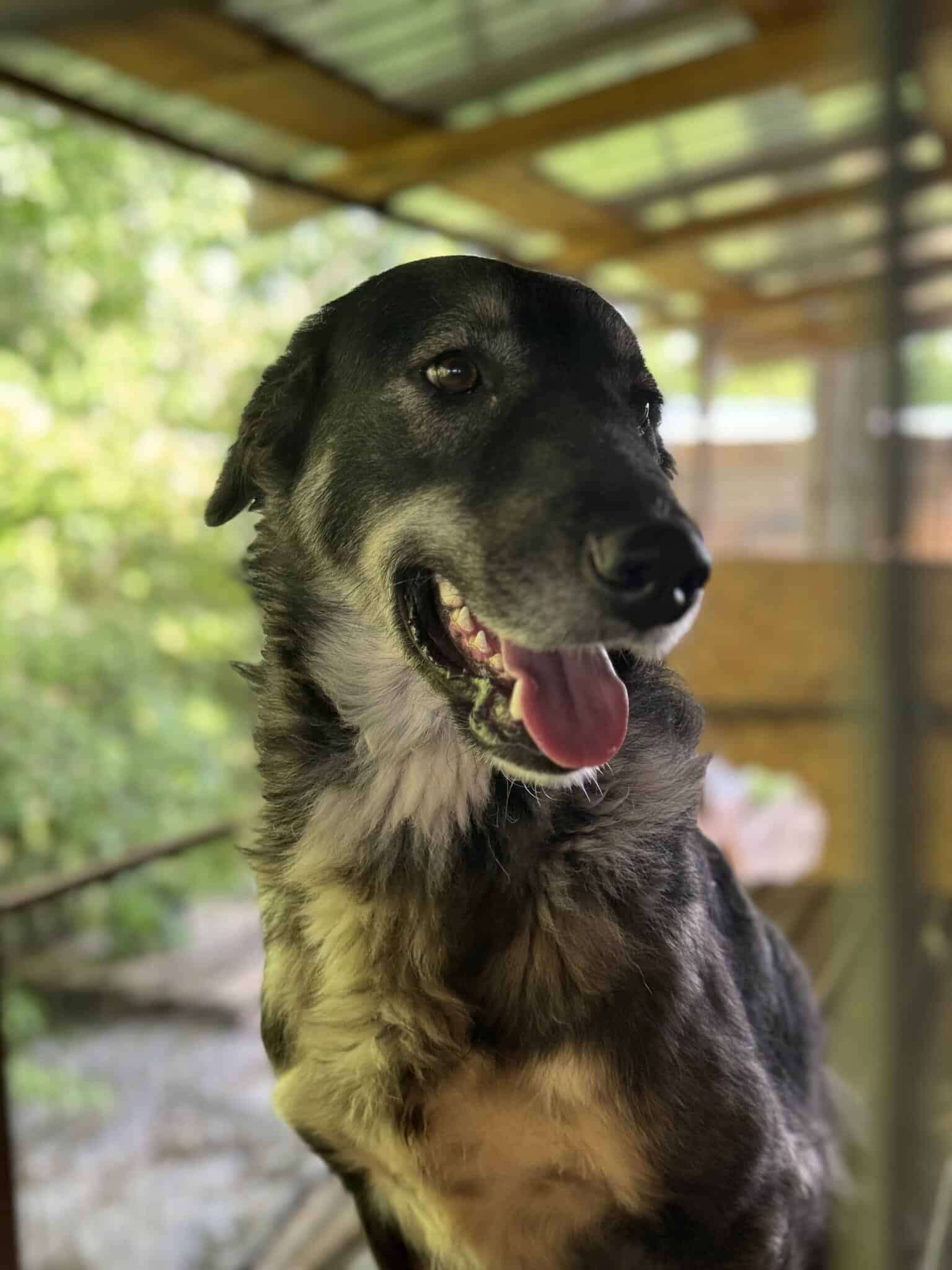 Erika