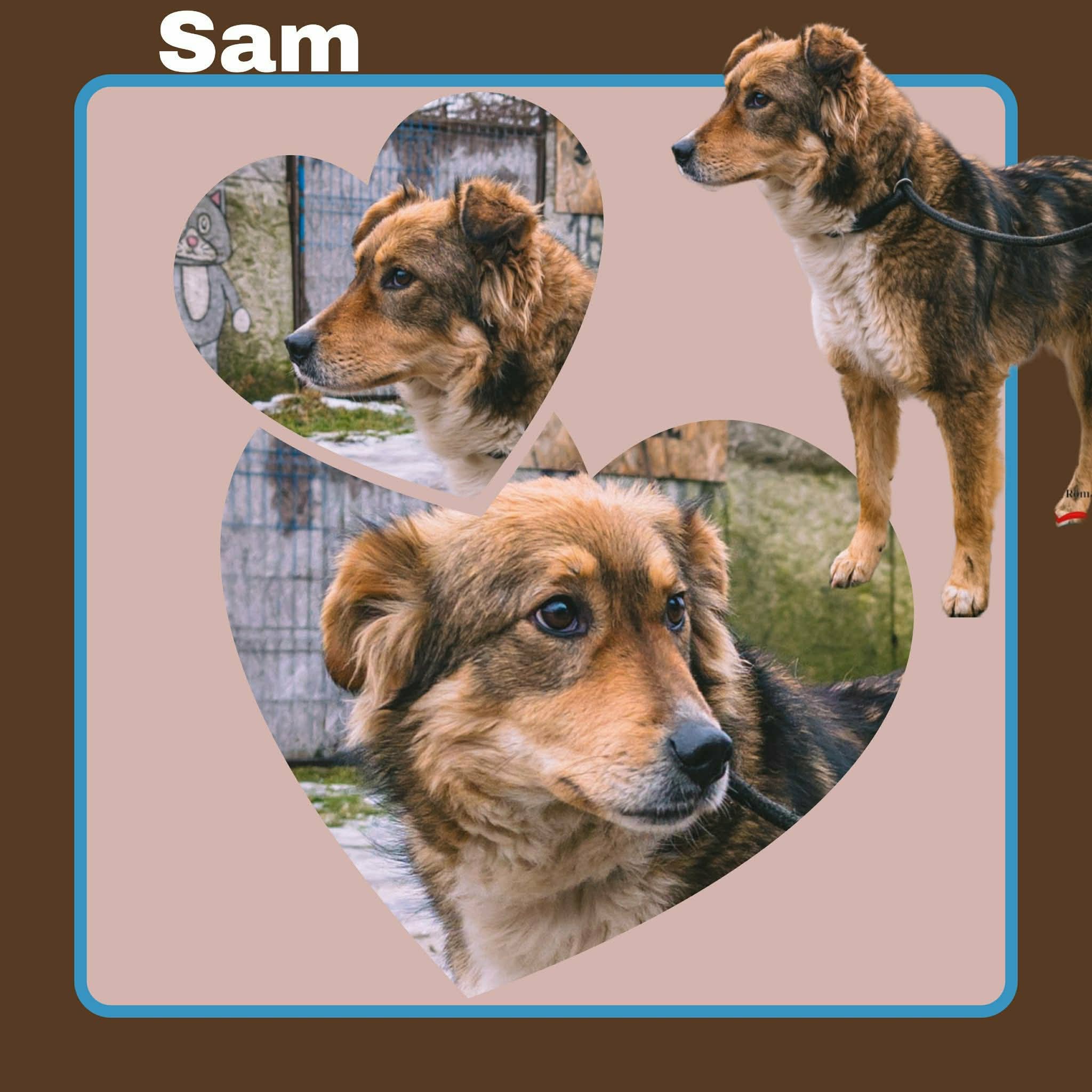Sam