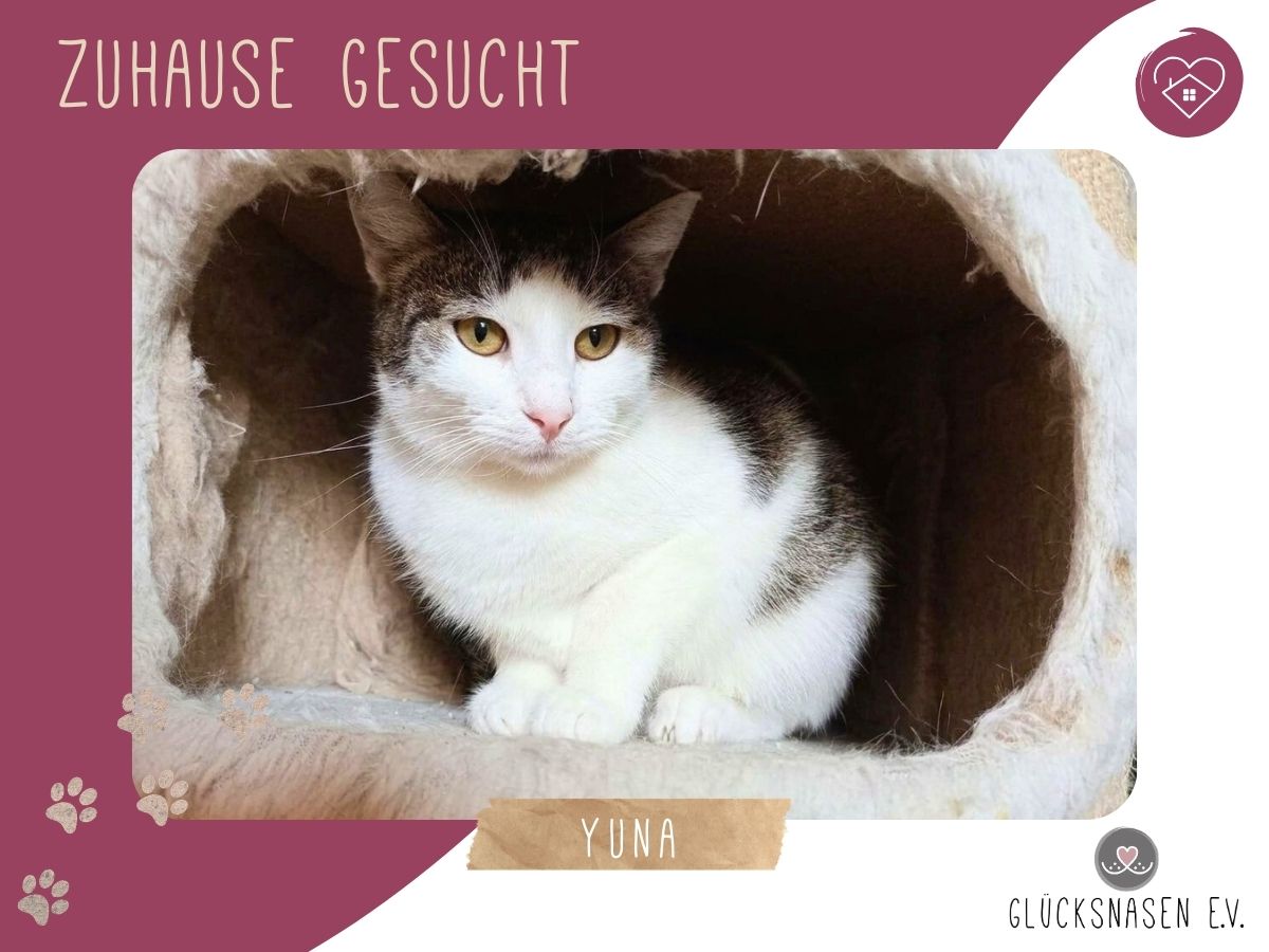 Yuna braucht ein Zuhause