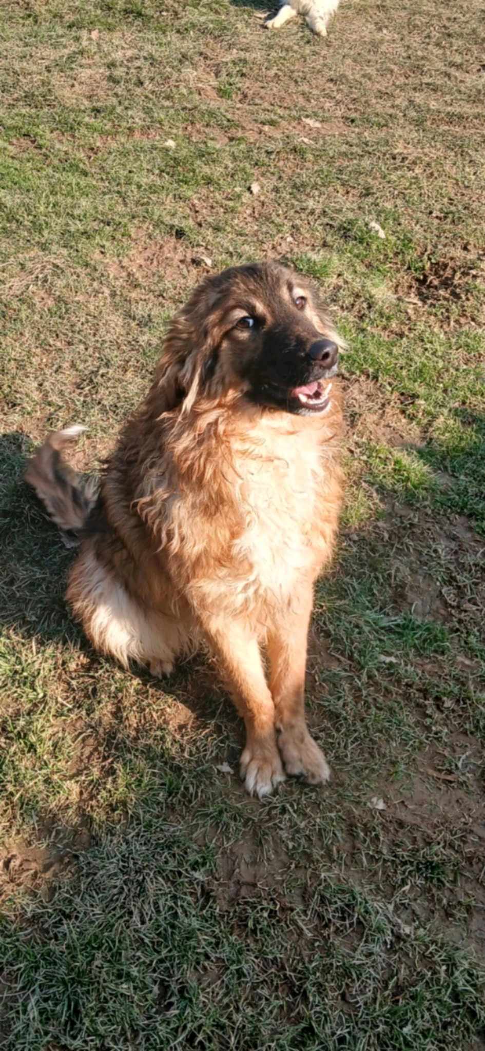 Leo