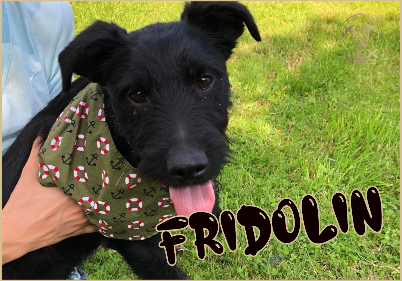 FRIDOLIN