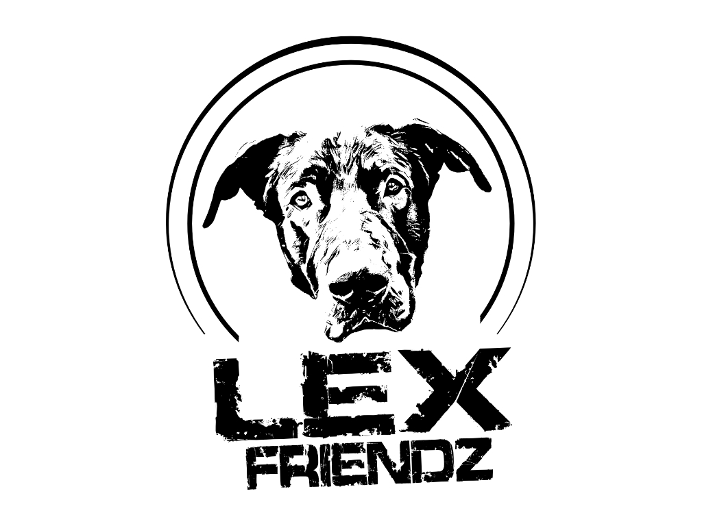 LEX Friendz e.V.