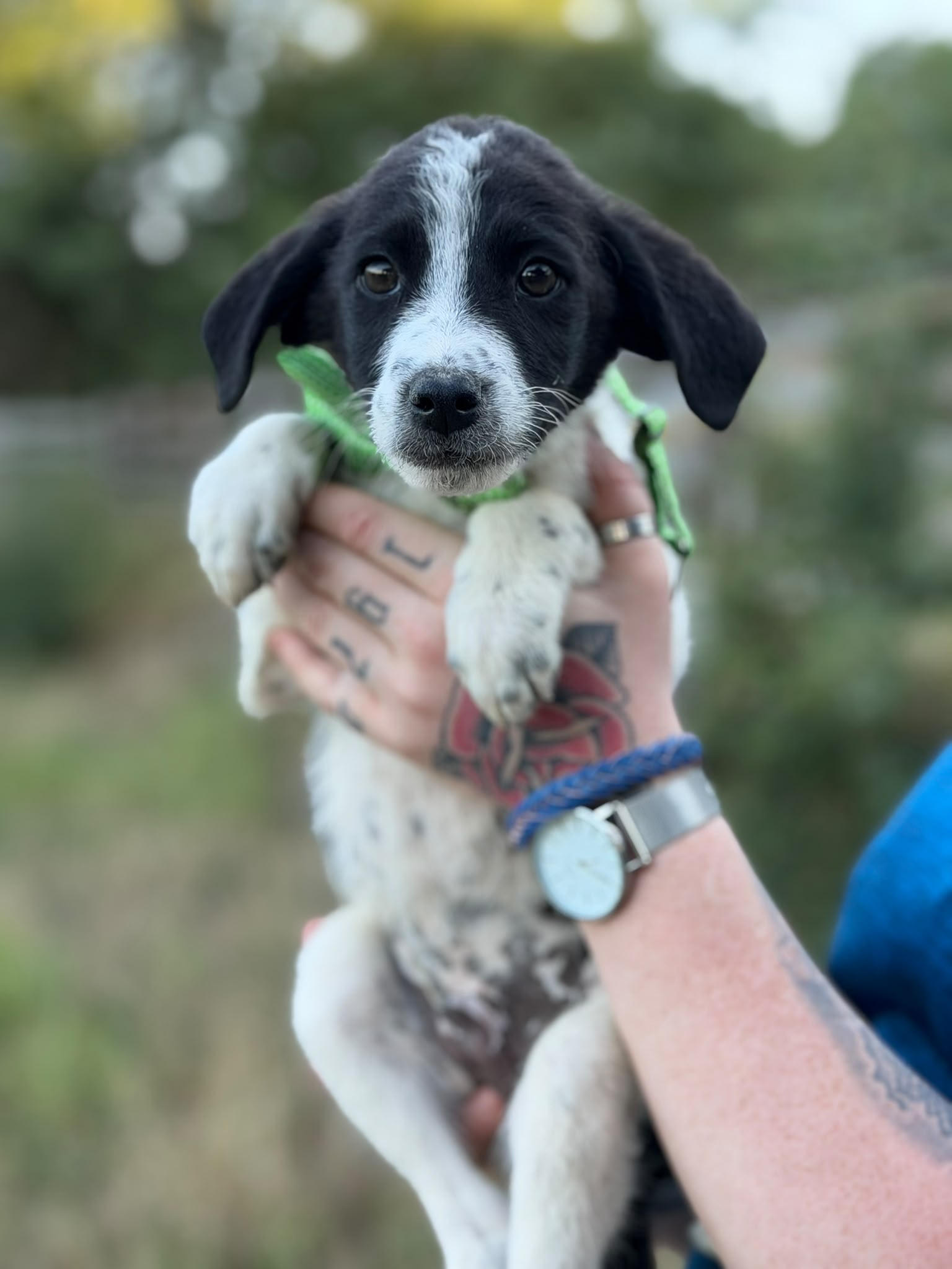 Jax