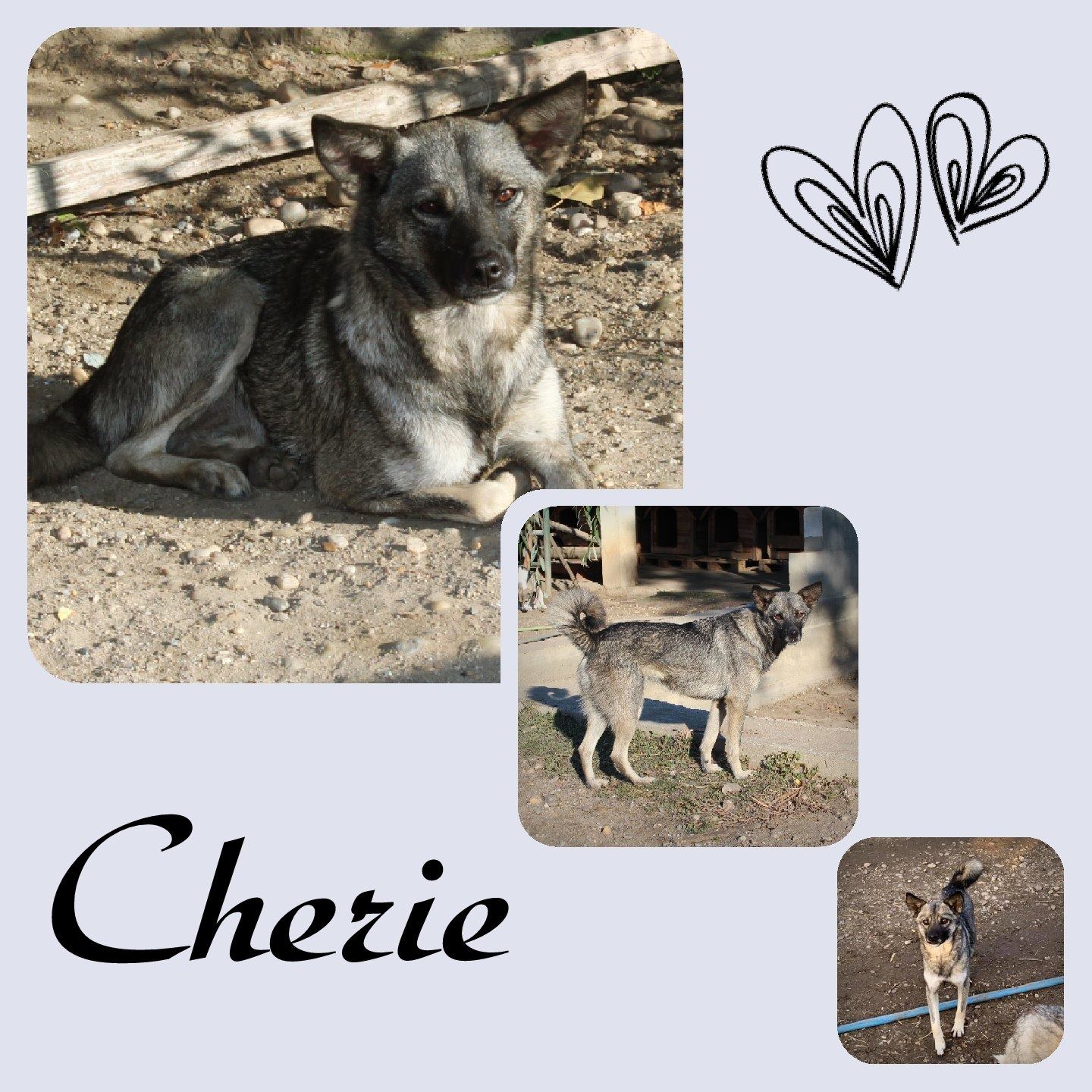 Cherie
